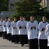 The Clergy Surplice