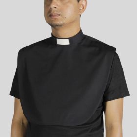 Sleek Clerical Dickey with Tab Collar for Online Order